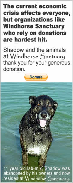 Click For Info on Donating